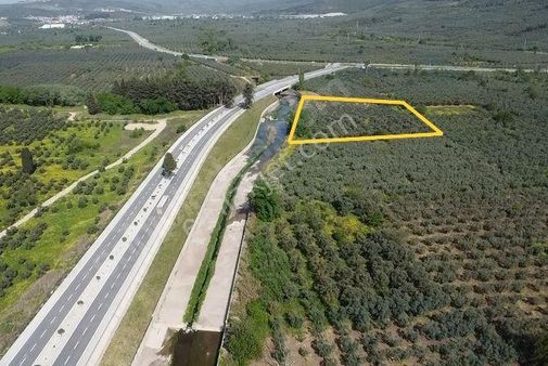 Bursa Gemlik Gençali De Togg Yolu Üzerinde Satılık Geniş Arazi