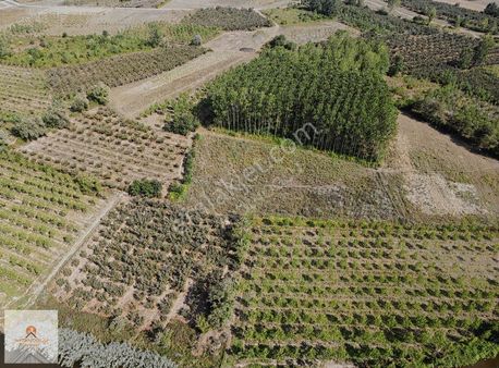 ***düzce Akçakoca Melenağzında Yatırımlık 6.677 M² Arsa***