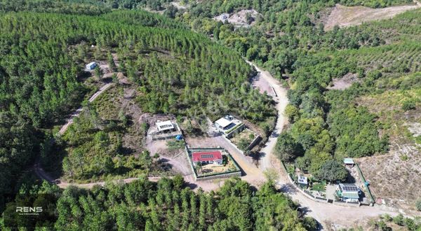 Rens Gayrimenkulden Ovacıkta Yola Cephe Orman Manzaralı Tarla