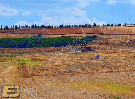 Ed Arsa Herkesi Toprak Sahibi Yapmaya Devam Ediyor Köye 1,5 Km