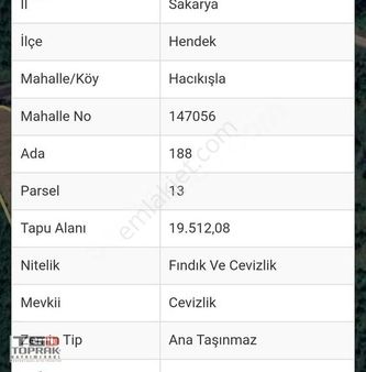 Satılık İçerisinde Bağ Evi Bulunan Fındık Bahçesi
