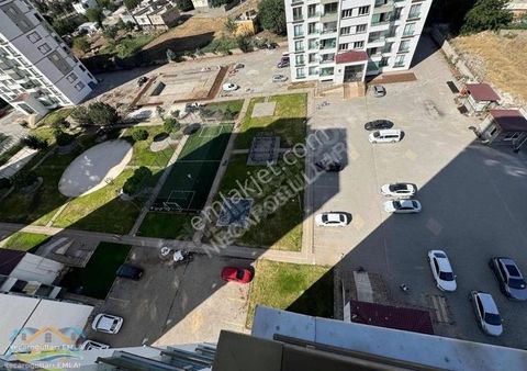 Necaroğullarından Adli Tıp Binası Arkası 4+1