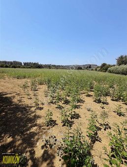Gündoğdu Mah Yatırımlık Ve Seralık Müstakil Tarla