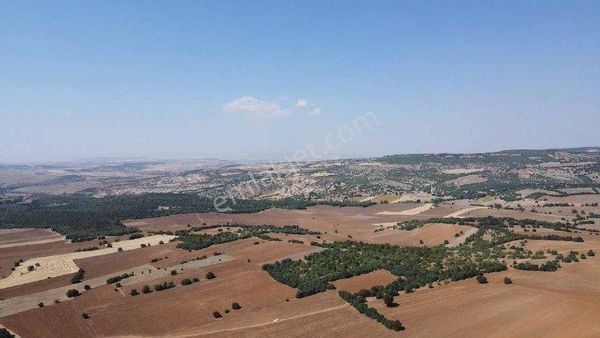Balki'de Bahçelik Harika Yer