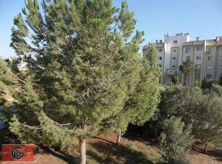 Süper Cepheye Sahip Yatay Mimari. Huzur Dolu.. Kaçmaz..