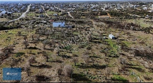 Didim Akyenıköy'de 421 M2 İmarlı Arsa