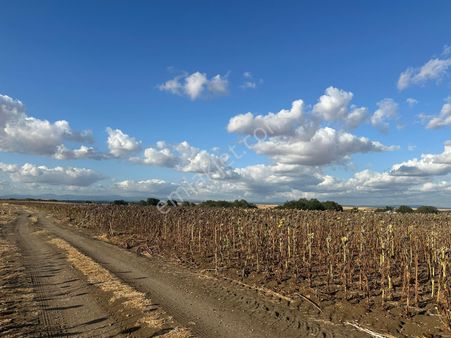 Kırklareli Pınarhisar Sütlüce Köyünde Köyün Dibi İki Taraftan Yola Cehe Tarla