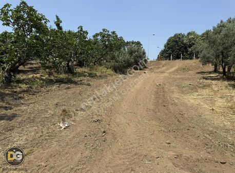 Bursa Osmangazi Armutköy Satılık Hobi Bahçeleri