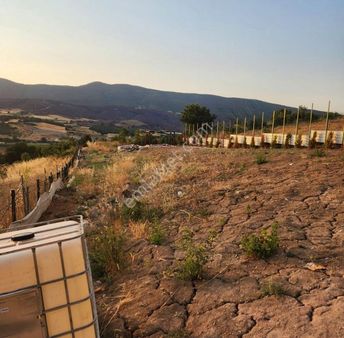 Kestel Seymende 853 M2 Satılık Hobi Bahçesi