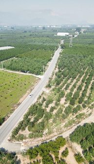 Hd'den Samanlı'da Cadde Üzeri Satılık Tarla