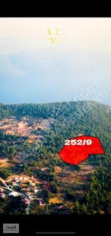 Menteşe / Kuyucak Mahallesinde Satılık 3 Parsel Tarlalar