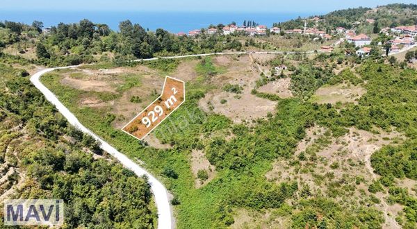 Remax Maviden Kandilli De Resmi Yollu 929 M² Tarla