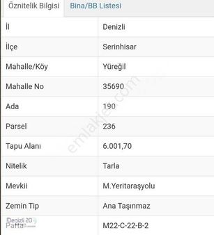 Yüreğil'de Meyve Bahçesi