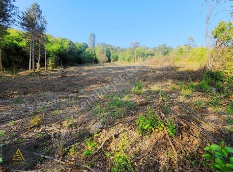 Aksiyon Dan Bursa Kestel Kozluören De Manzaralı Satılık Bahçe