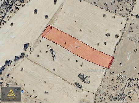 Aksiyon Dan Kütayha Gediz Kızılüzüm De Satılık Arazi