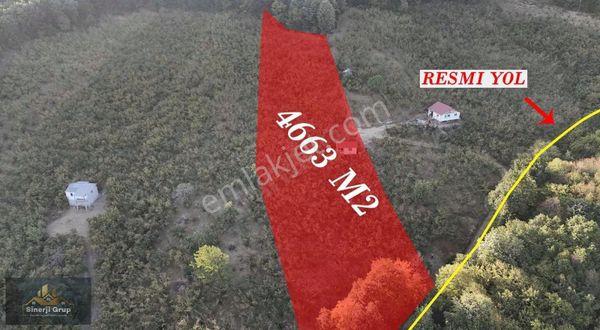 Nuriye Mahallesinde 4.663 M² Fındık Bahçesi Yatırım Fırsatı