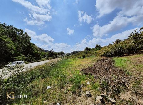 Ayazlı Mahallesinde Korgan Kumru Yolu Üzerinde Güzel Arsa