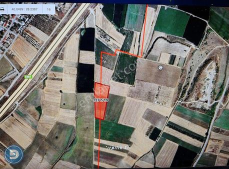 M.kemalpaşa Koşuboğazı Mah.de Satılık Hobi Bahçeleri