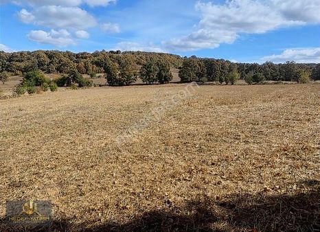 Topçularda Yatırımlık Verimli Düz Arazi Tek Tapu [ 9.760 M2 ]
