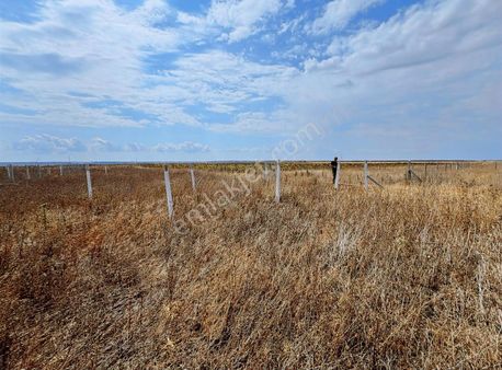 Bedavadan Biraz Pahalı 304m2 Hisseli Çapı Var