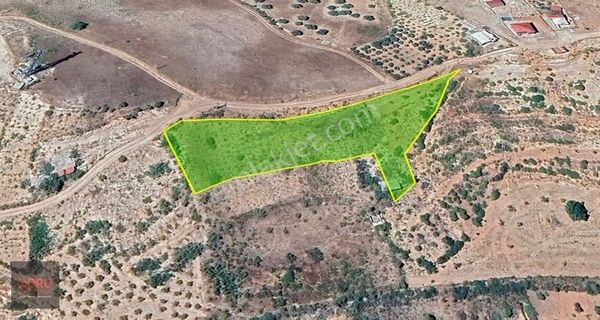 Peynirderede Akyar Toki Ye Yakın Konumda Satılık Bağ Yeri