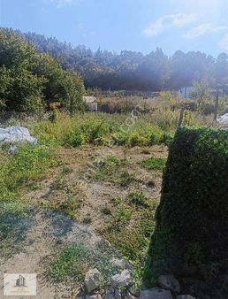 Kestel Gölcükte 532 M2 Satılık Hobi Bahçesi