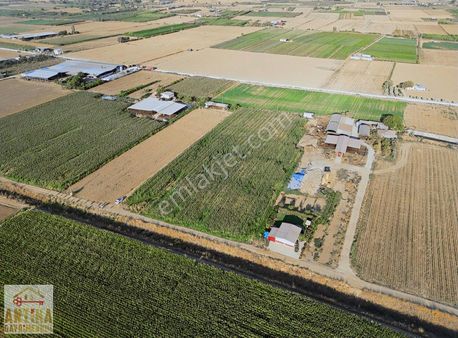 Antika Gayrimenkul'den Adagide'de Satılık Fırsat Tarla