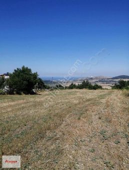 Samsun Atakum Köseli Mahallesi Deniz Manzaralı Satılık Tarla (8)