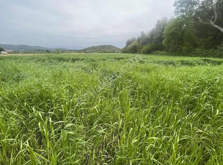 Gökova Civarında Satılık Arsa