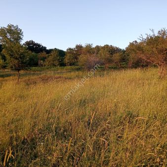 Uskumru Köyde Satılık 32123.arsa