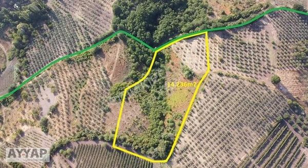 Ayyap Gayrimenkul'den Satılık Seçköy'de Tek Tapu 14232m2 Tarla