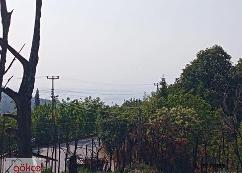 Gökçe'den Çamçukur'da Köprü Ve Körfez Manzaralı Arsalar