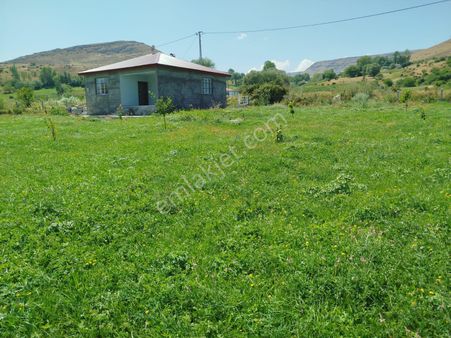 Tuzluca Hamurkesen Balıık Tesislerine Yakın Asfalt Yola 140 Metre Cephe 7130 M2arsa İçerisinde