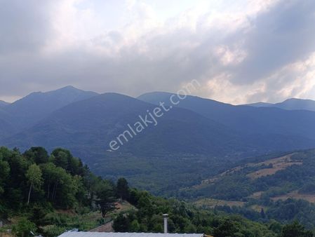 Kestelin İncisi Alaçamda 300 Mt2 Arsa İçinde Muhteşem Lüks Villa