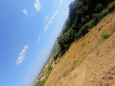 Bursa Yenişehir Selimiye`de Satılık Manzaralı Hobi Bahçeleri...