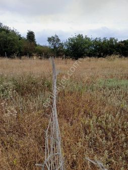 Yenişehir Marmaracıkta Satılık Hobi Bahçesi