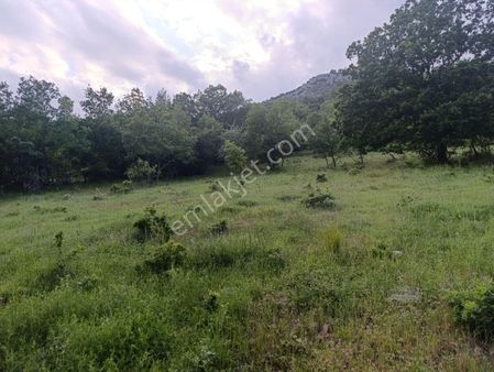 Gürsu Dışkayada Doğa İçinde Manzaralı Acil Fırsat Arazi