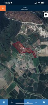 Muğla Milas Bafa‘da Satılık 10.600 Metre Tarla