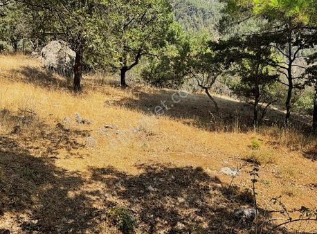 Çanakkale Ayvacık Ahmetce Köyü Satılık Uygun Tarla