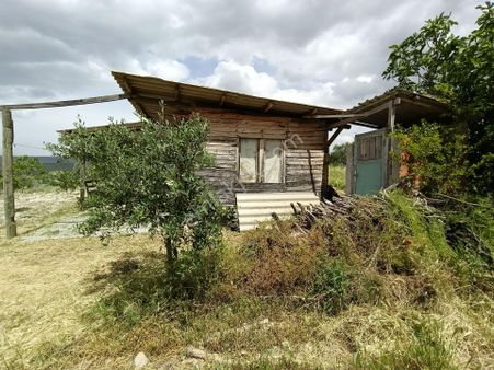 Karacasu Dereköy Mahallesinde Satılık Hisseli Tarla