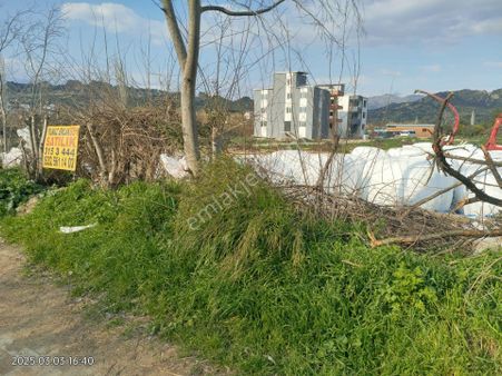 Aydın Nazilli Arslanlı Merkez De Satılık Arsa