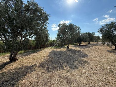 Yatırımlık Hobi Bahçesi ! 457 M² Edremite 10 Dakika