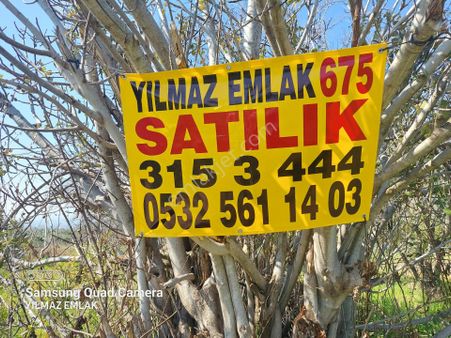675 Aydın Nazilli Yalınkuyu Mahallesinde Satılık Zeytinlik