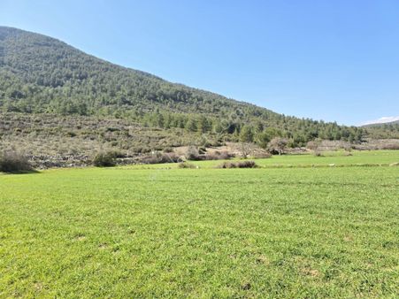 Muğla Menteşe Kafaca Mah. Satılık 2.090 M2 Tarla