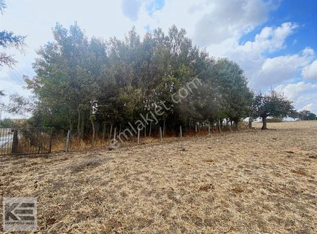 Kahvecioğlu Emlak'tan Elifli Köyü Satılık Tarla