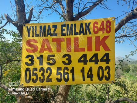 Aydın Nazilli Yalınkuyu Mahallesinde Satılık Portakal Bahçesi
