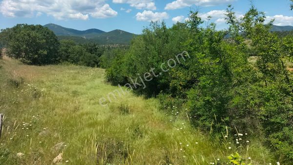 Çanakkale Bayramiç Bekirlerd'de Satılık Bahçe !