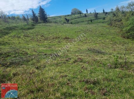 Selamaetli De Asfalta 65 Metre Resmi Yollu