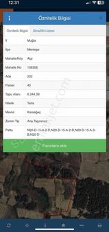 Arte Gayrimenkul'den Satılık 6.244m2 Zeytinli Tarla