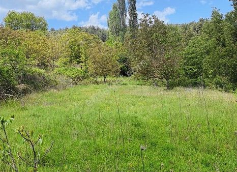 Arte Gayrimenkul'den Menteşe Yeniköy'de 901 M2 Satılık Arsa